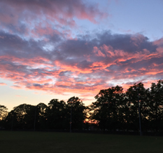 paintings - ZC Designs